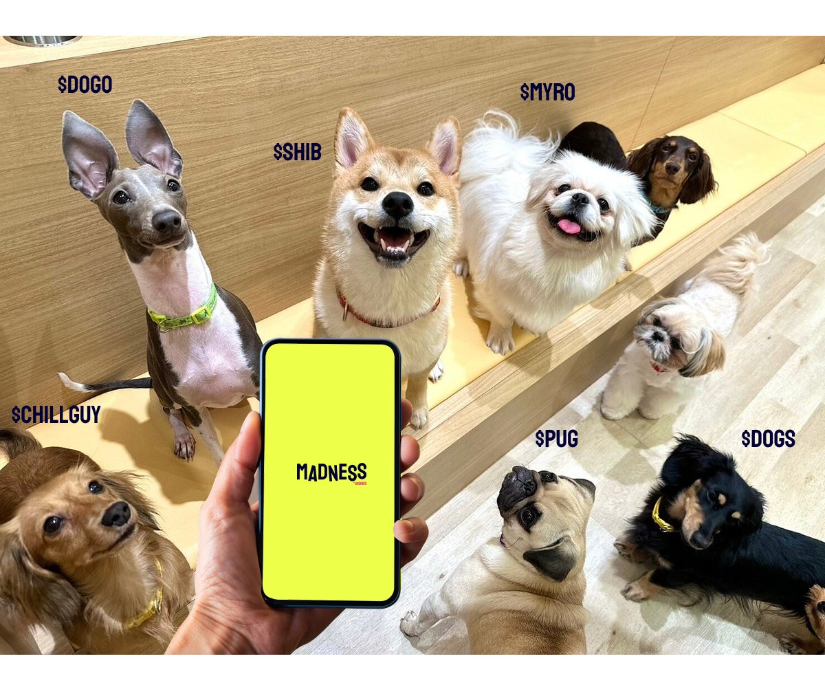 madness.fun | Solana's Next-Gen Launchpad tweet media