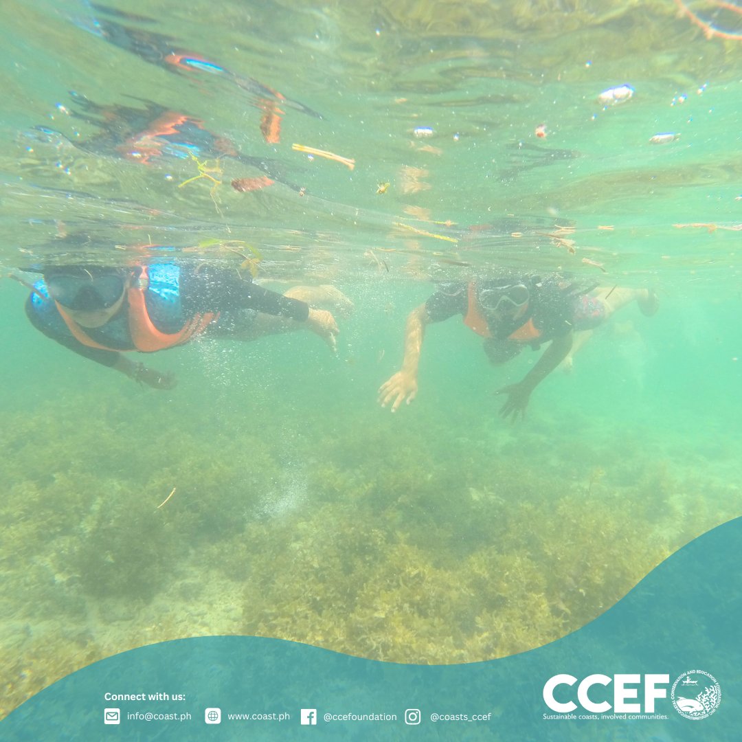 CCEF_PH's tweet image. September  27, 2025 | Brgy. Tingo, Olango Island, Cebu - 𝗜𝗖𝗬𝗠𝗜: The fourth and final Ocean Club  session brought 30 TNHS students full circle—celebrating their growth, courage, and connection to the sea

𝘙𝘦𝘢𝘥 𝘮𝘰𝘳𝘦: coast.ph/ccef-news/09/o…