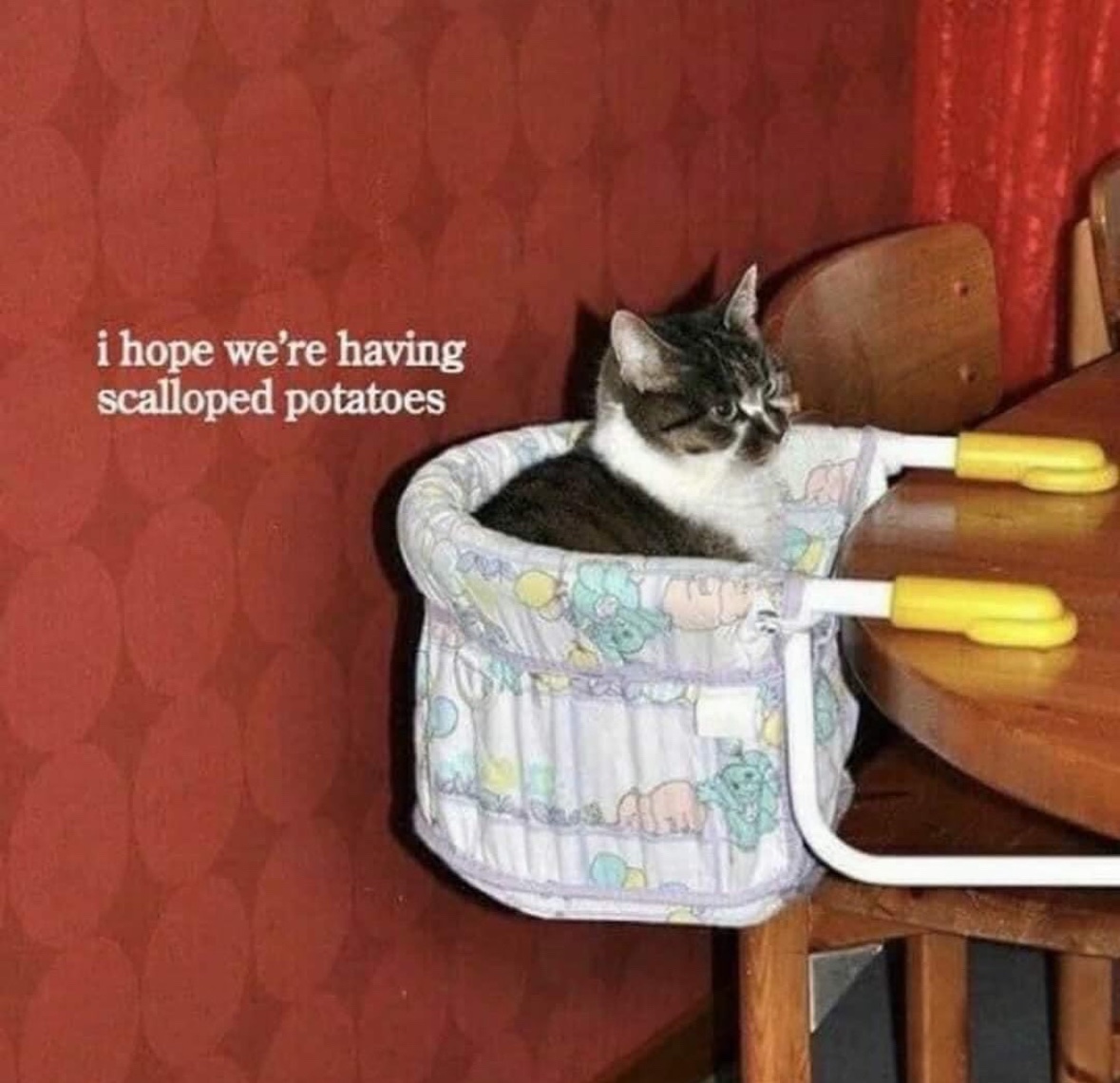RespectfulMemes's tweet image. 