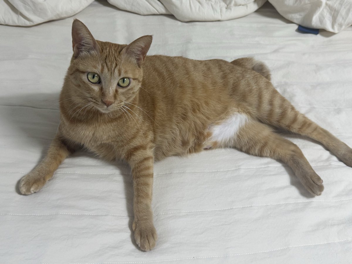 그것이
퀸의 자질이니까