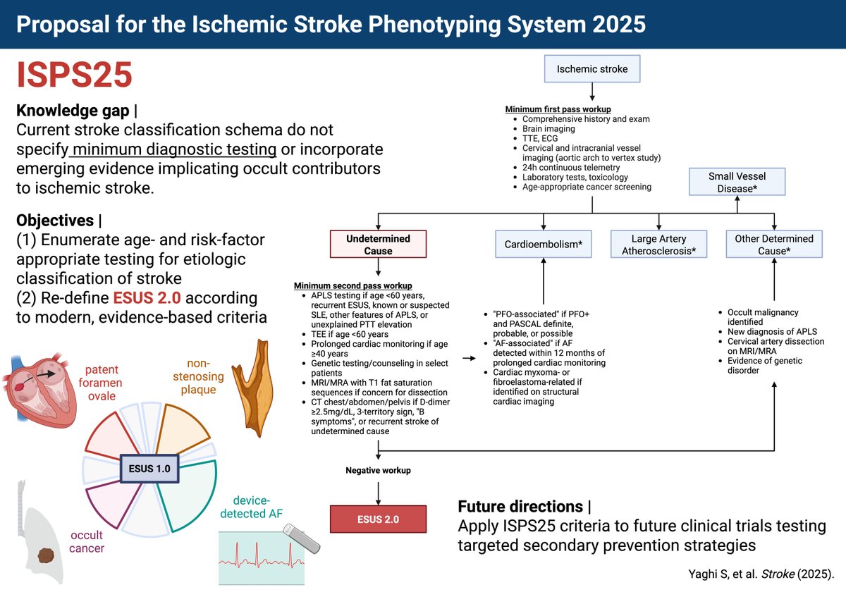 Special Report by <a href="/ShadiYaghi2/">Shadi Yaghi</a> et al.: The ISPS25 classification system creates a new framework to understand #stroke etiology and permit targeted treatments and rational randomized trial design for various ischemic stroke subtypes. #AHAJournals #WSC2025 ahajrnls.org/472BjvF