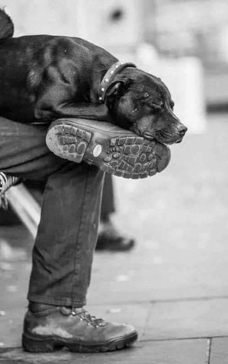 Добрутр трщи, всем бобра по два ведра)