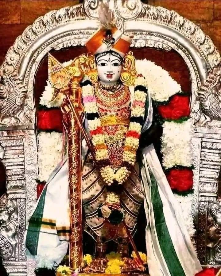 Ragavi92433588's tweet image. எந்த வினையானாலும், கந்தன் அருள் இருந்தால் வந்த வழி ஓடும் என்பது ஆன்றோர் வாக்கு.
அந்த ஆறுமுகனுக்கு உரிய விரதங்களுள் மிக முக்கியமானதாகச் சொல்லப்படுவது, கந்தசஷ்டி விரதம்.
(1/2)
#MurugaDevotees #OmSaravanaBhava