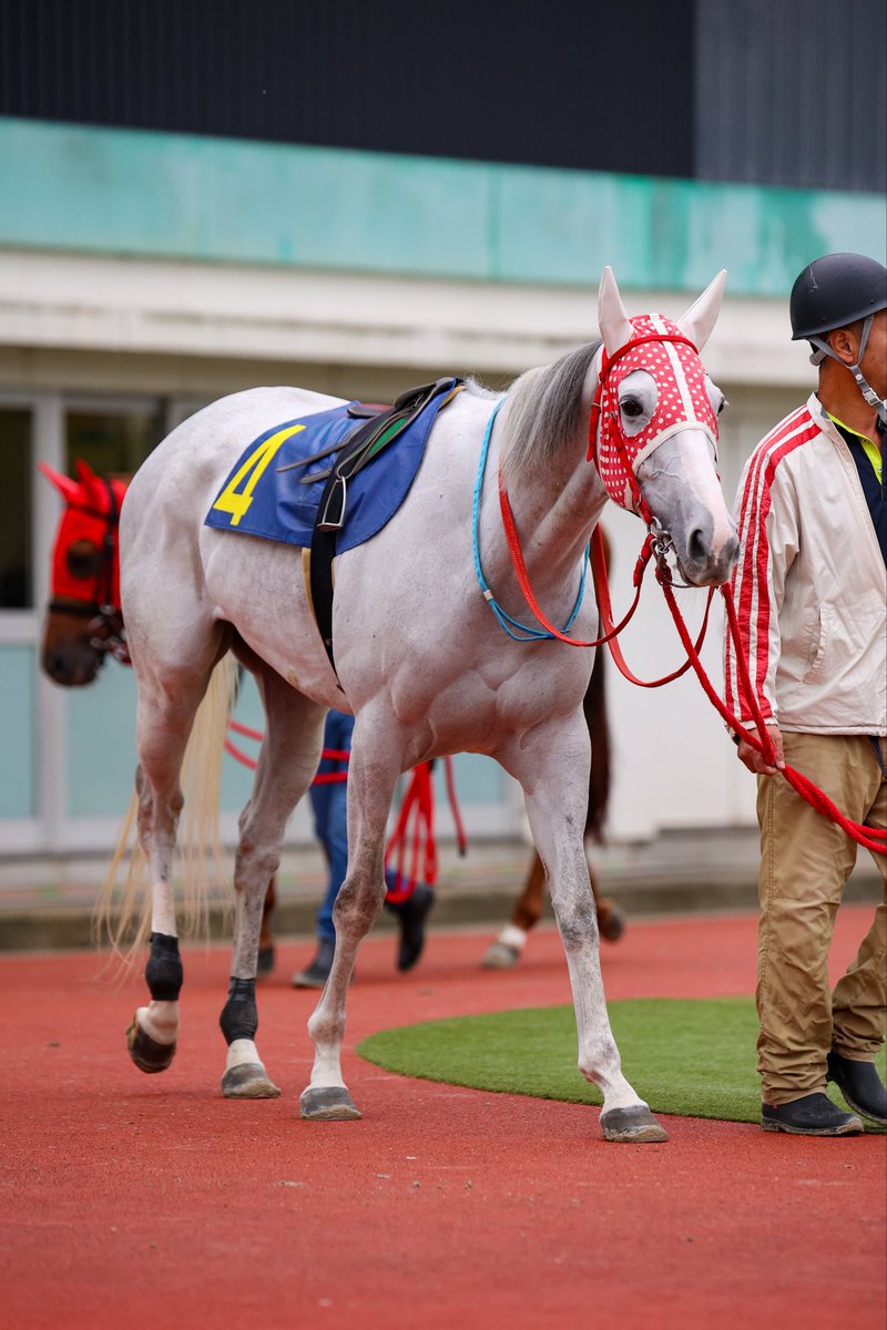 盗まれた馬 The door to the stable where the horses live has been