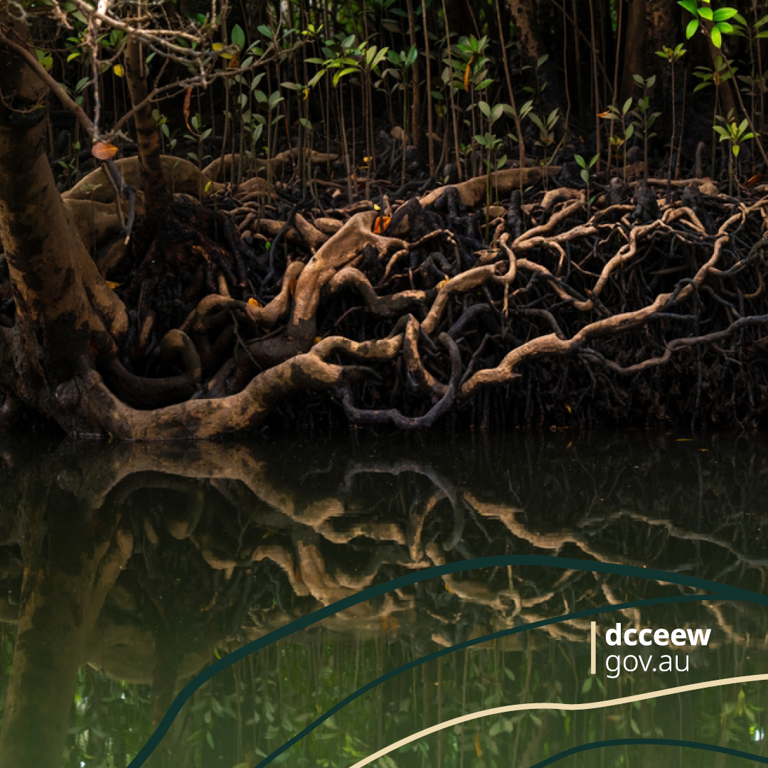 DCCEEW's tweet image. 🚀 It’s live! The 2025 EEA Dashboard is now even more powerful.
Explore Australia’s ecosystems with interactive maps, visual insights, and new regional data —all designed to turn data into smarter decisions.  eeadashboard.dcceew.gov.au 
#EnvironmentalInsights #DataDrivenDecisions