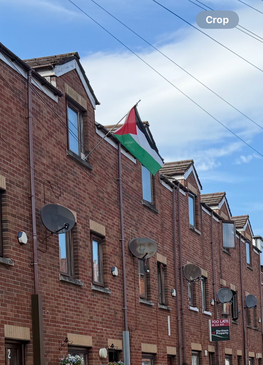 Partisangirl's tweet image. I visited Ireland recently, and everywhere you go, you will see the flag of Palestine.
The Irish are a great people who are very clued up on l Zionism.
I was surprised to hear there were ONLY 5 million Irish in Ireland. I don’t think they have room for mass migration whilst…