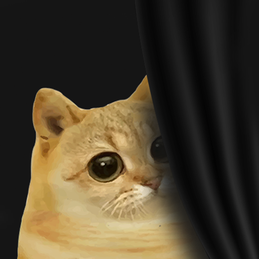 CatCoin tweet media