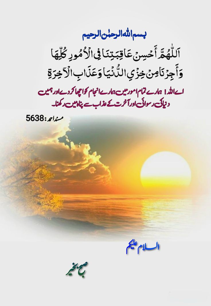 AssalamoAlaikum Subhabakher have a peaceful day to❤️ all of you guys stay blessed and enjoy your day with new hopes and blessings 🙏