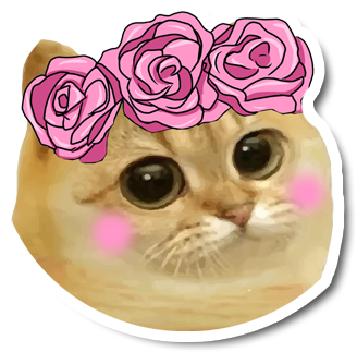 CatCoin tweet media