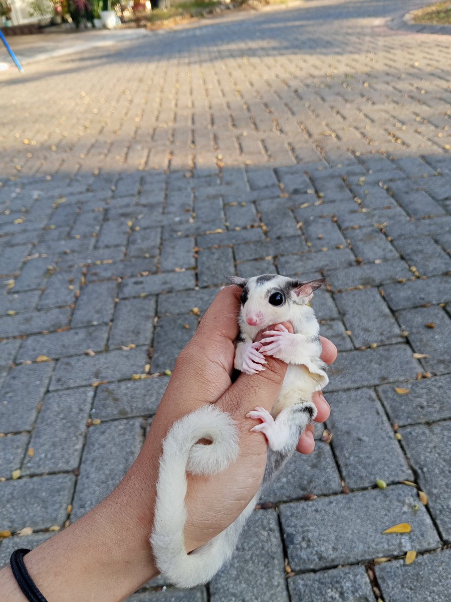 cloudyoue's tweet image. Oby 😵‍💫