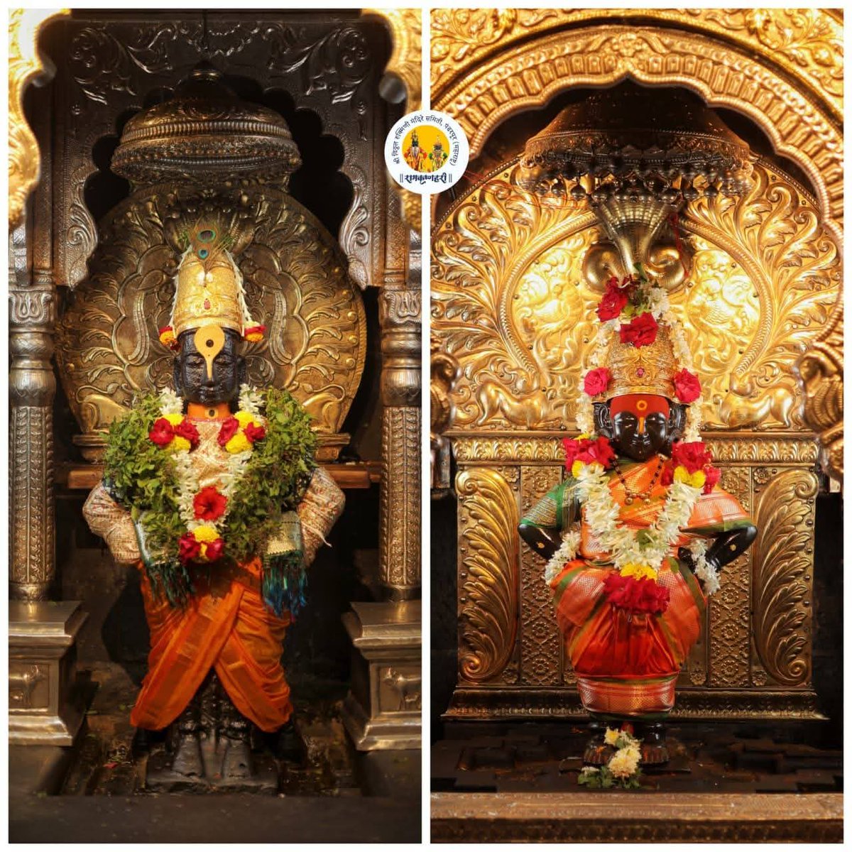 Vitthal Rukmini Darshan tweet media