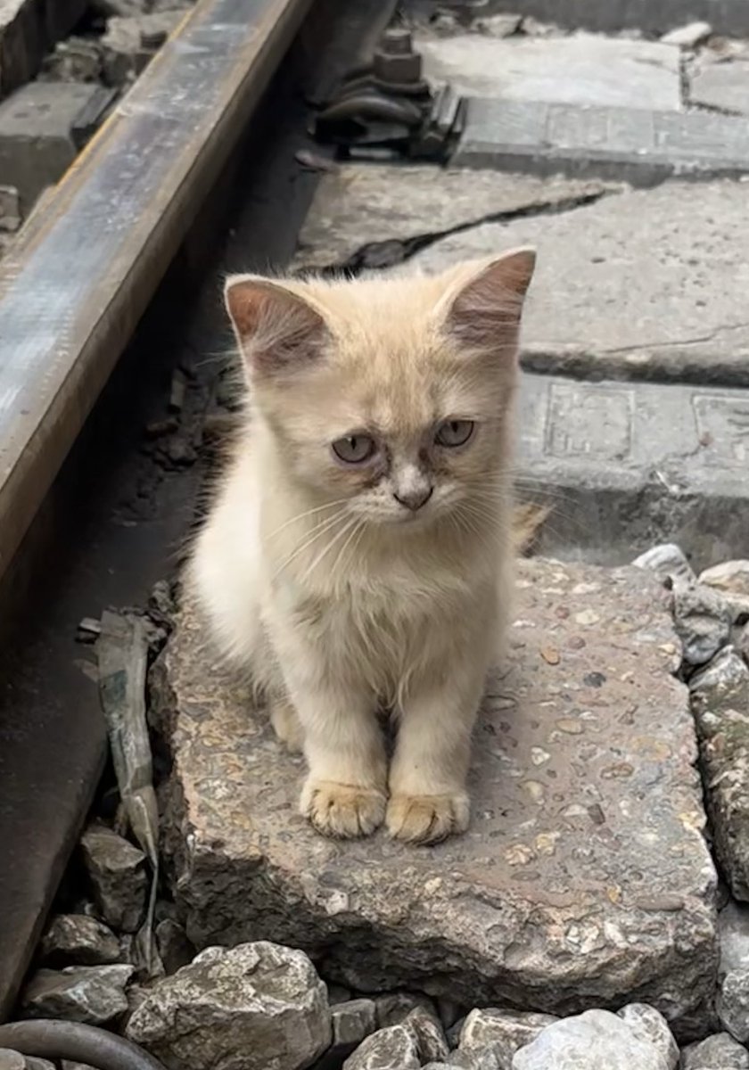 My ranked games have not been going well this act