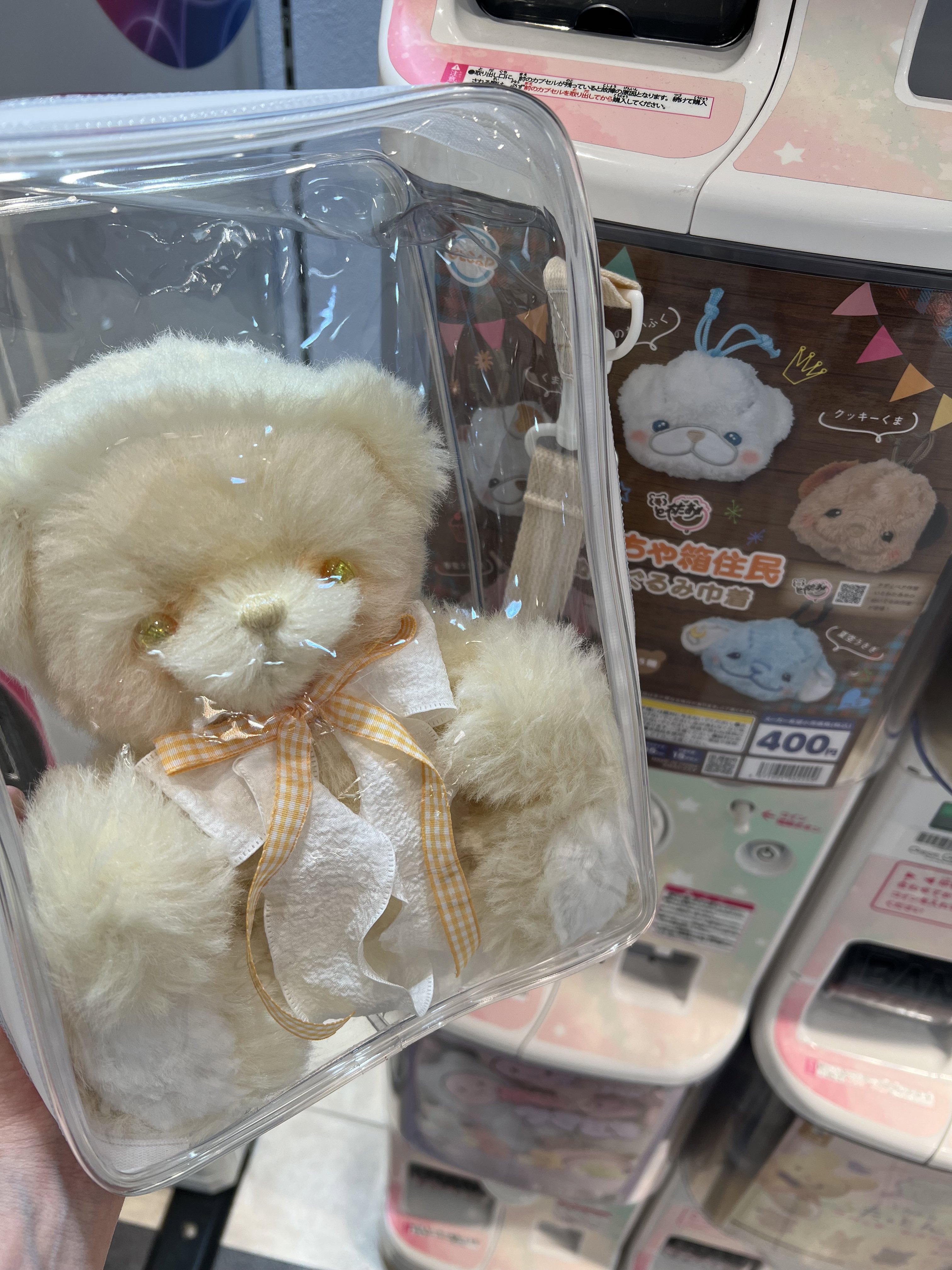 💭いとわたあめ💭美桜 (@itowataame) / X