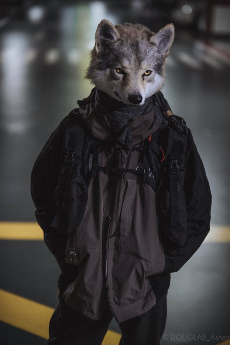 DOUGLAB_Ashen's tweet image. #FursuitEveryday 
#DOUGLAB