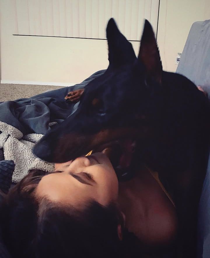I love him 🥹💙
Ask for menu linktr.ee/zoogirlclassics

#horny #nudes #sex #sexy #fuck #cock #pussy #tits #slut #pussy #sex #premiumslut #bestsellingcontent #buyingcontent #Z00 #k9
#dogsex #Bestdogknottingcontent