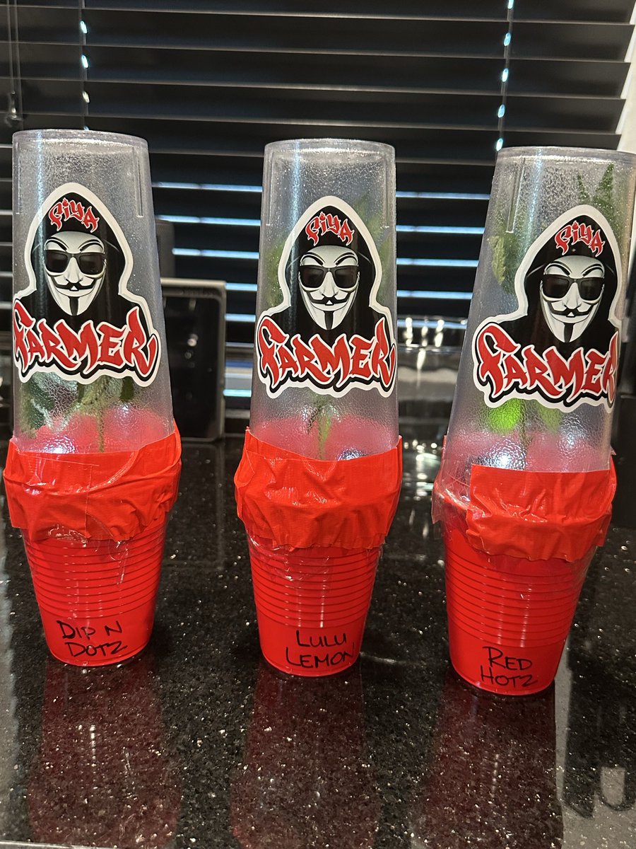 $TEVEN〽️ tweet media