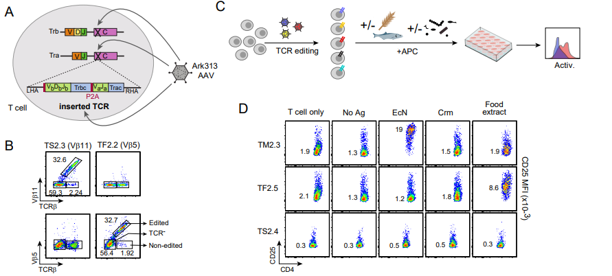 LabWaggoner's tweet photo. Decoding Peripheral Tolerance: TCR Rules for pTreg differentiation in the Gut @biorxivpreprint 
https://t.co/dUUhPCP6OL @harvardmed 🇺🇸 https://t.co/fvkpDQiadU
