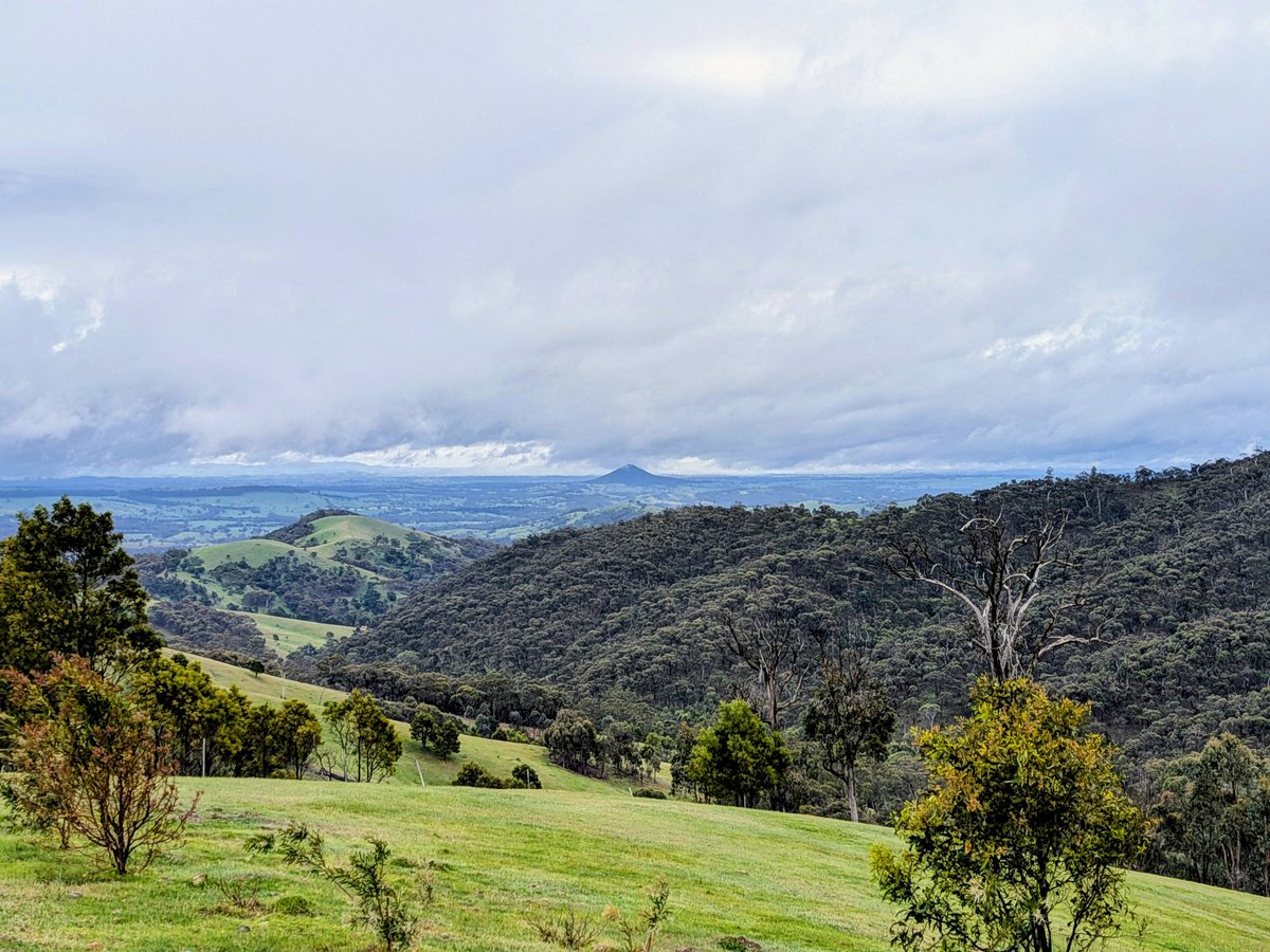 Might become one of those people who posts 'today's office' or something when they're working somewhere that isn't a shit hole