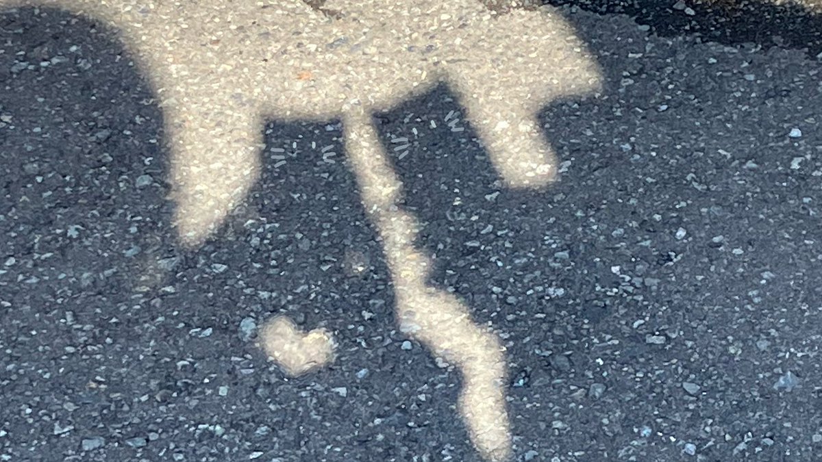 ʜ̇ĭṁα🌻 (@himaspl) on Twitter photo 