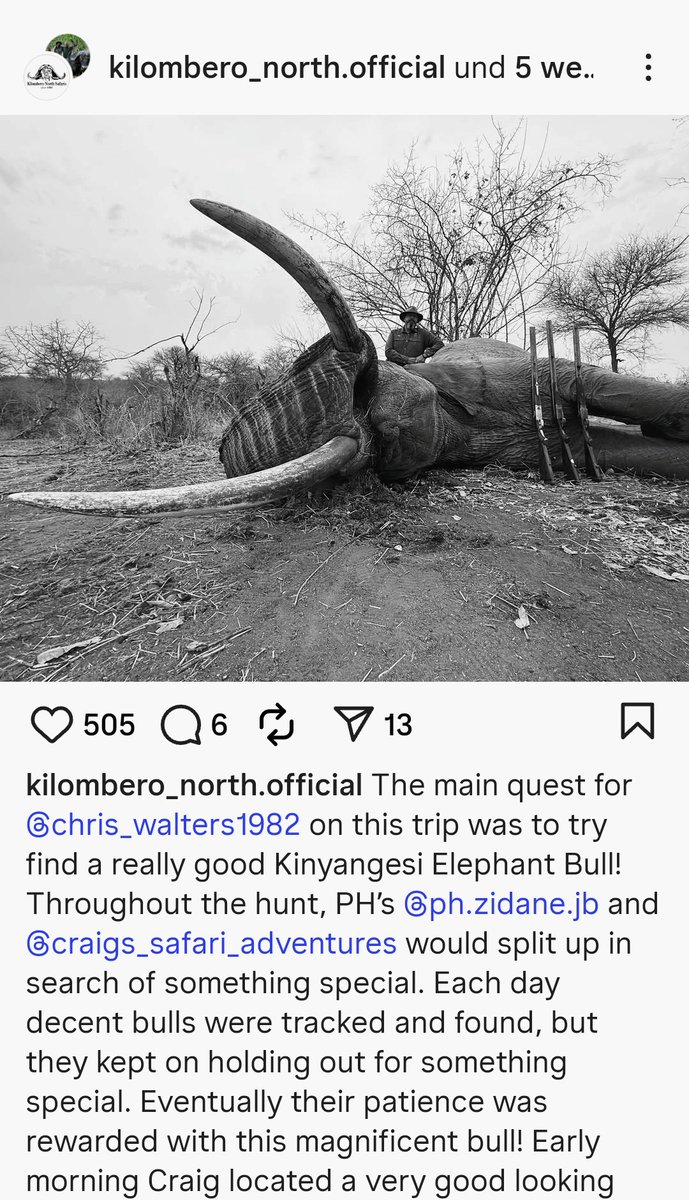 BillieWe27740's tweet image. This isn’t adventure.
This isn’t conservation.
This is tragedy.

He survived droughts, predators, and years of change —
but not a man with a gun and a smile.
#BanTrophyHunting