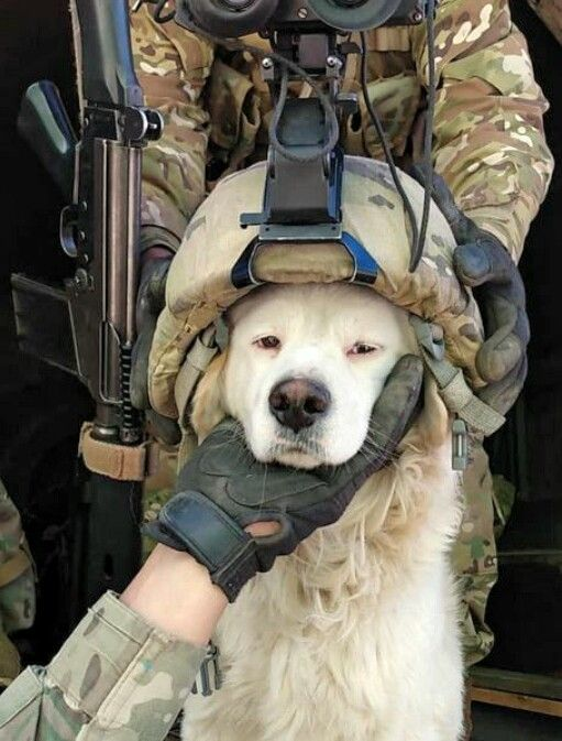 Tank_Yeen tweet media