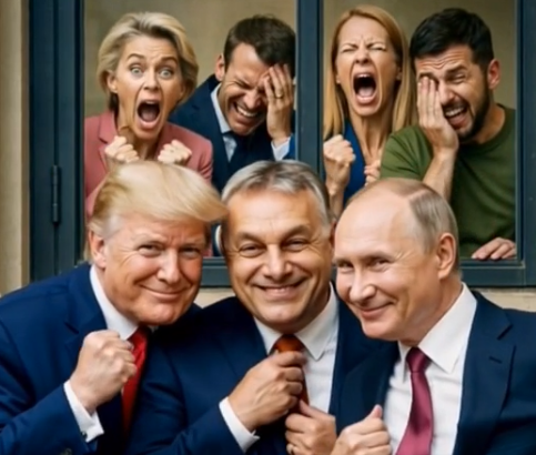 Échange de cris, jurons... Comment Trump a fait pression sur Zelensky pour qu’il accepte les conditions russes en Ukraine
Pourtant, l’entrevue des deux présidents ne s’est pas bien déroulée, rapporte le Financial Times . Des témoins ont entendu «des échanges de cris» et des