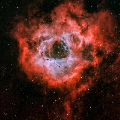 __molly15's tweet photo. #NewProfilePic https://t.co/DVa5akIhuk