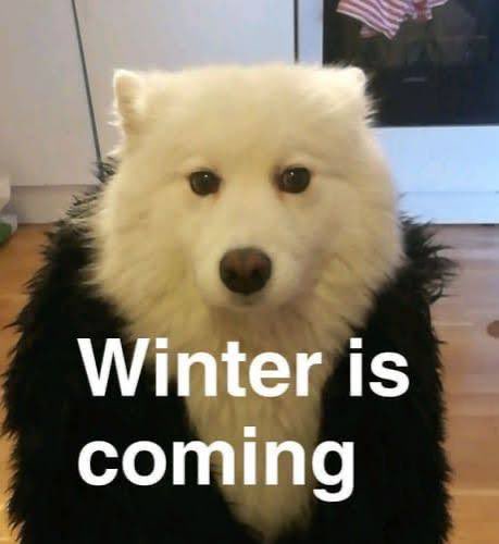 “Valoren la llegada de las primeras masas de aire frío. Viajan miles de kilómetros solo para traernos un respiro más fresco. 
Aún no representan un descenso térmico significativo, pero el frío irá ganando fuerza con el paso de las semanas.

✨ El invierno siempre guarda una que