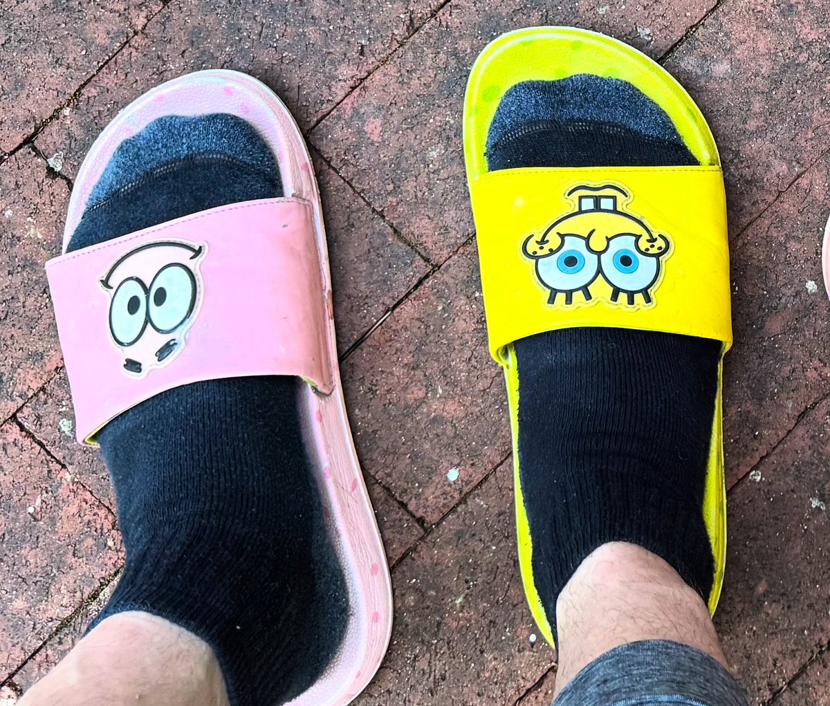 Bubs (Darius Monsef) tweet media