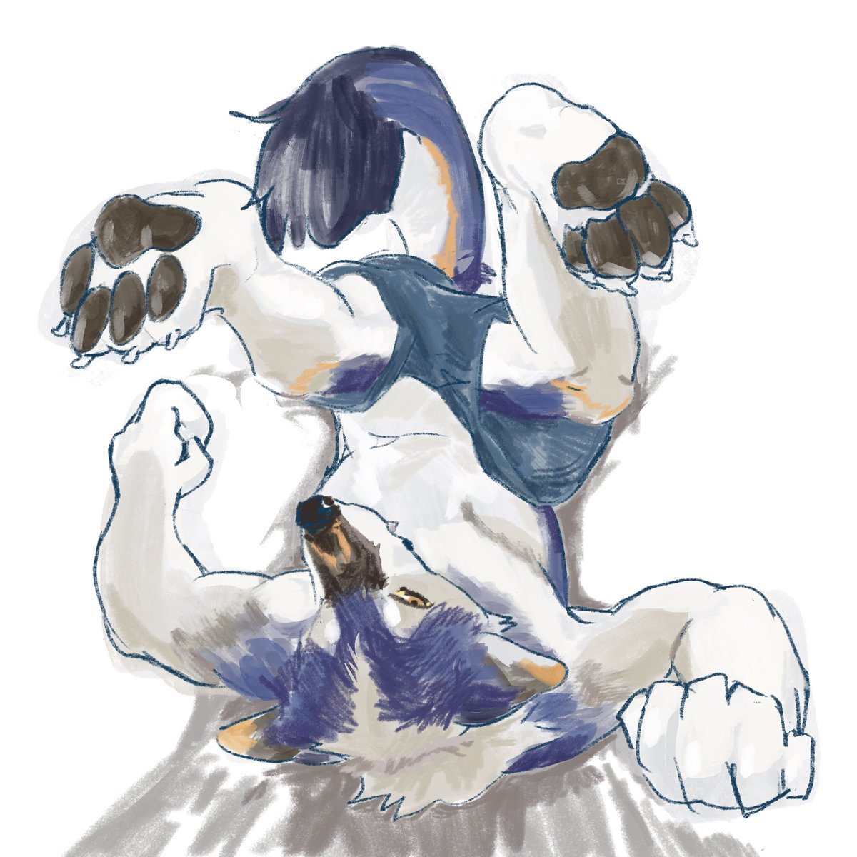 MARUSEI (@marusei__) on Twitter photo 