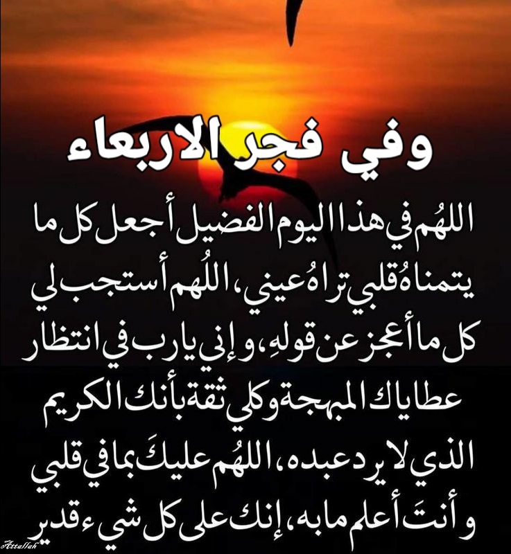 اللهُم آميــٍـِـِـٍـٍـٍنْ يـــآرّبْ العآلميــــنْ 🤲💞