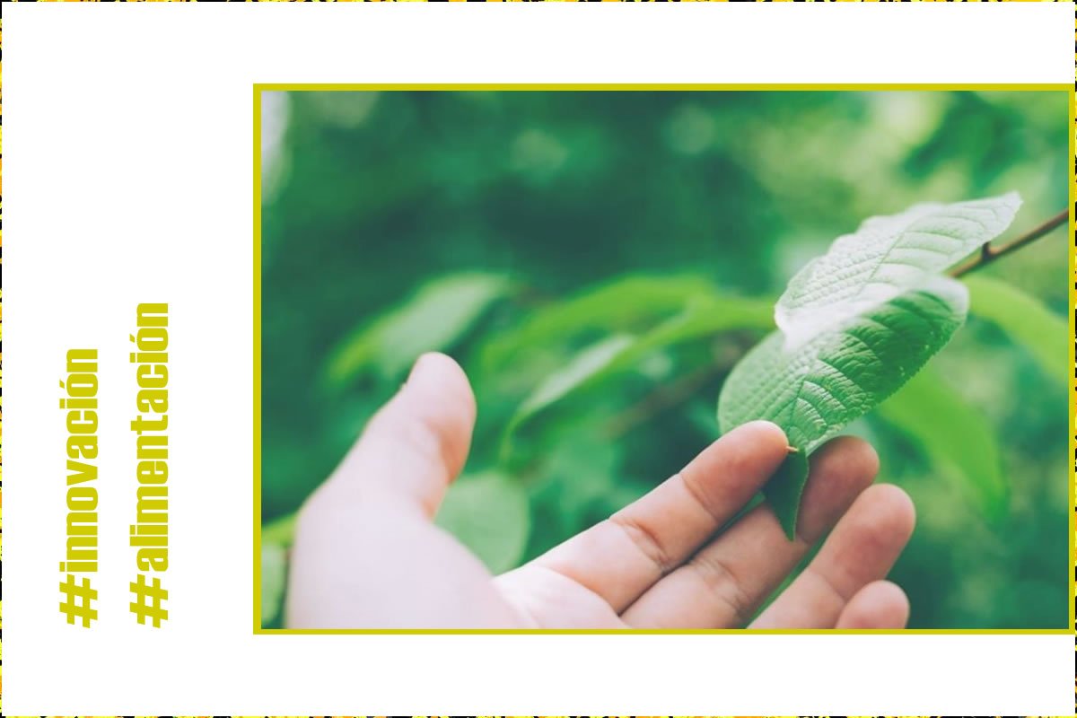 #Alibetopías La alimentación afronta los retos principales de la sostenibilidad, la competitividad y la internacionalización.
Está resolviéndolos con avances en circularidad, eficiencia en la gestión, IA predictiva y Big Data.

<a href="/esFIAB/">FIAB</a> <a href="/Food4LifeSPAIN/">Food for Life-Spain</a>.
fiab.es/la-industria-d…