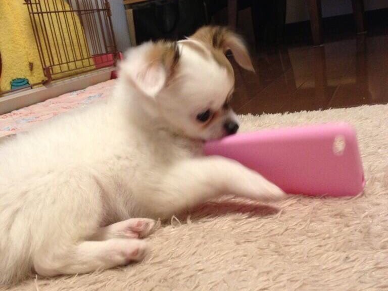 pipipiページ♡⃜ Zip-up hoodie - Sweatshirts and hoodies - Men | Bershka