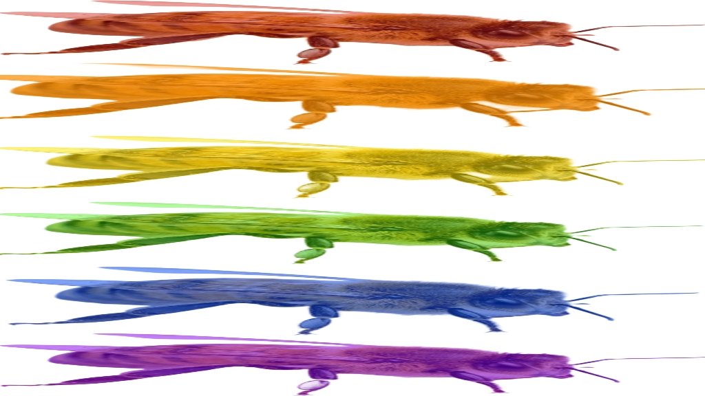 WWaltuhh's tweet image. BREAKING NEWS‼️‼️‼️:
These bees are GAY!
