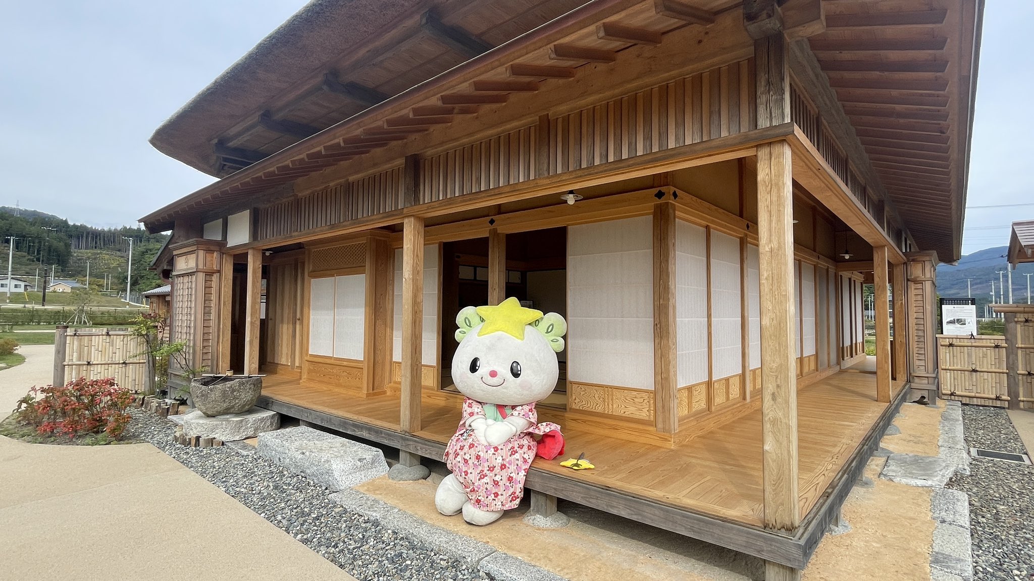 「たかちゃん様」専用 たかたのゆめちゃん【公式 】 on X: 