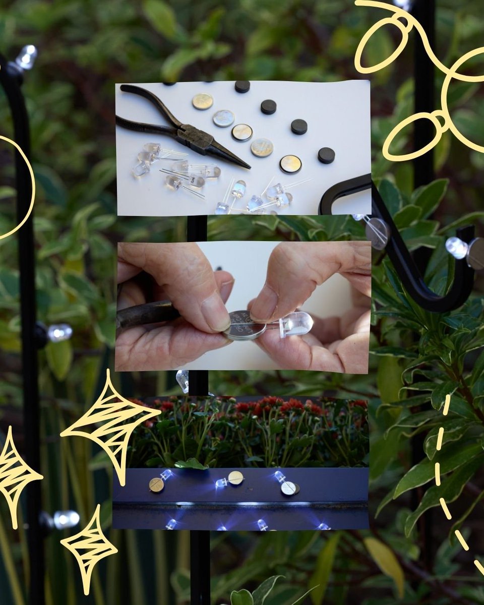 California Bountiful tweet media