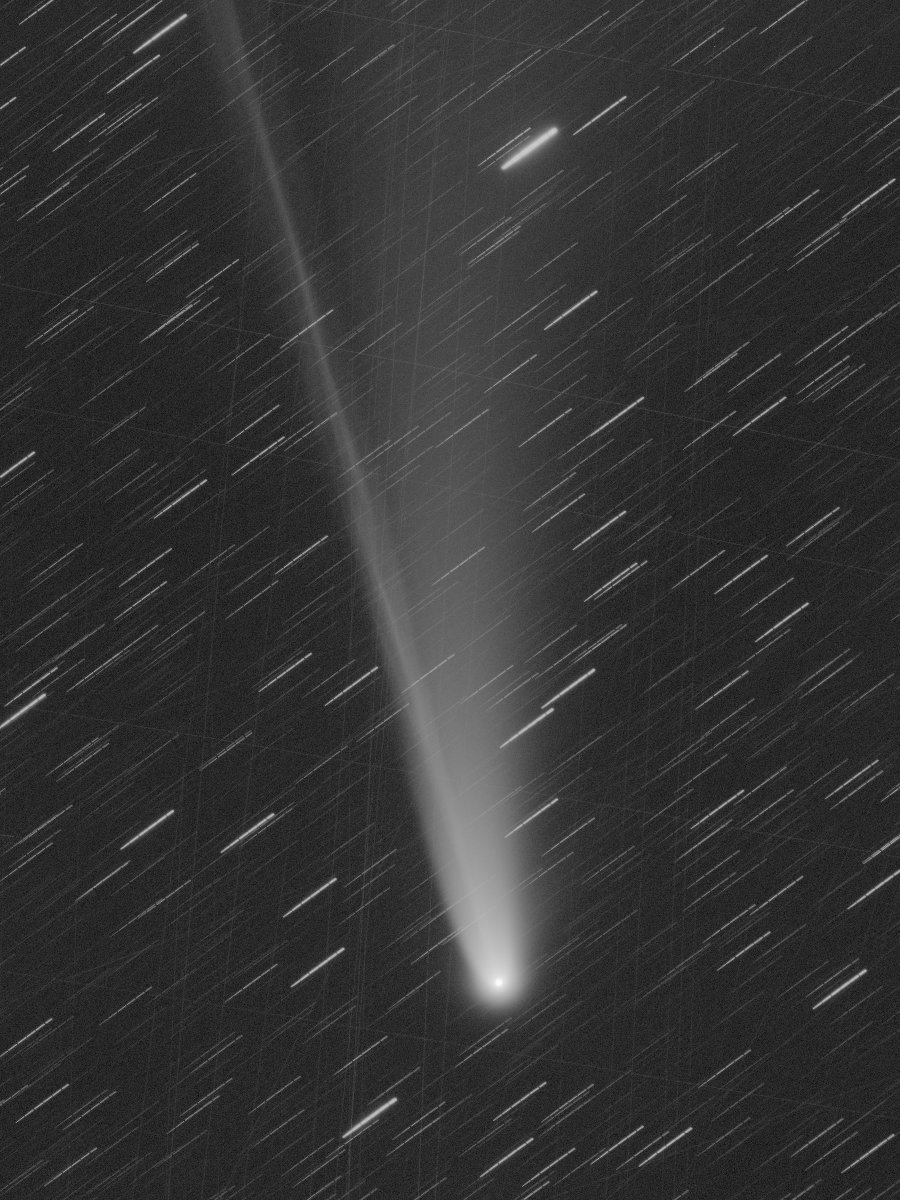 サピックス　2019年度 SWIX CROSS JAKET Ms - サッポロスキッド