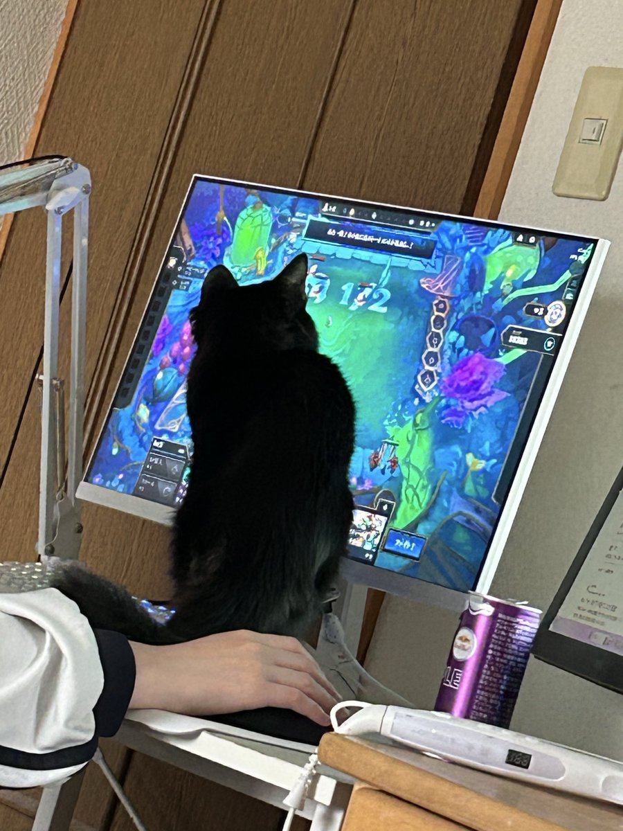 soyokaze0800's tweet image. TFTのコマを攻撃する猫さん