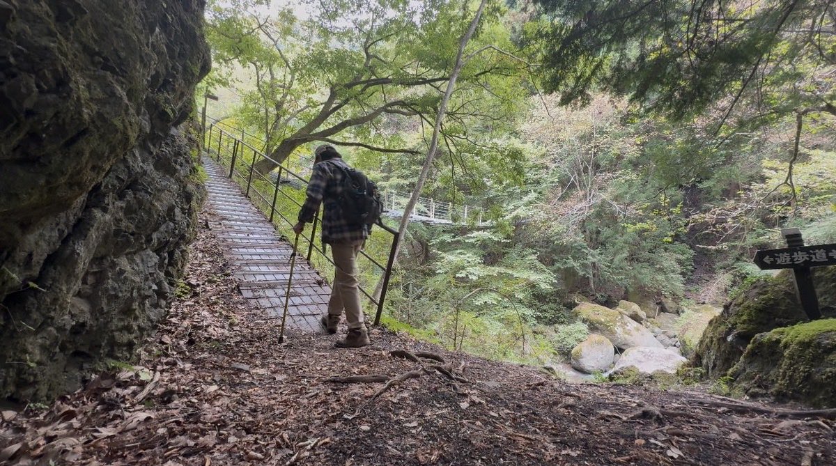 【野外活動リハビリ】
フィールドアスレチックな吊り橋に冒険心を掻き立てられ｜アップダウンのある遊歩道を人工膝関節でリハビリウォーキング！

#人工膝関節 #リハビリ #Vlog #ハイキン
#片麻痺 

◆YouTubeロング動画配信中！
【野外活動リハビリ】
youtu.be/j6pIeyx9UZM?si…
ゆっくりご視聴下さい