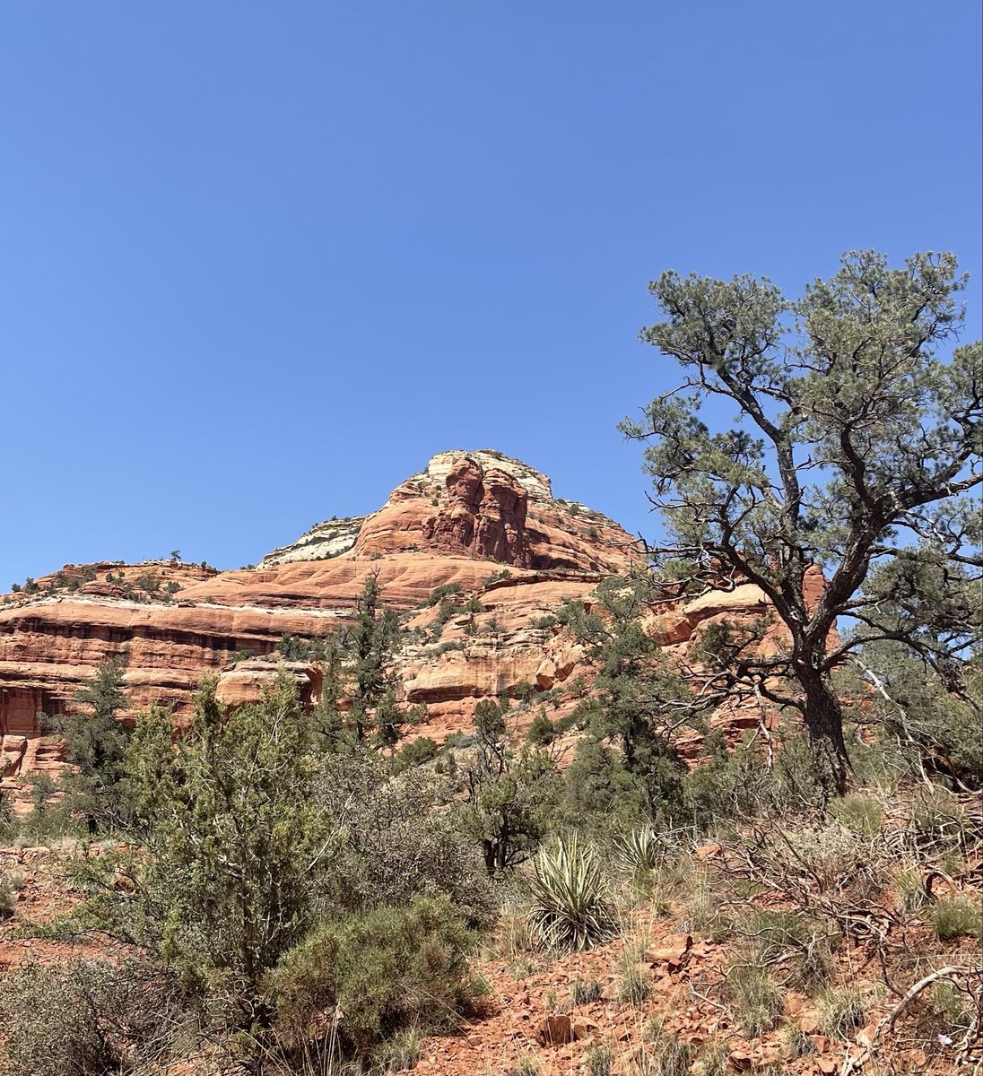 Have a nice day everyone! Goodnight from Arizona. 🌙