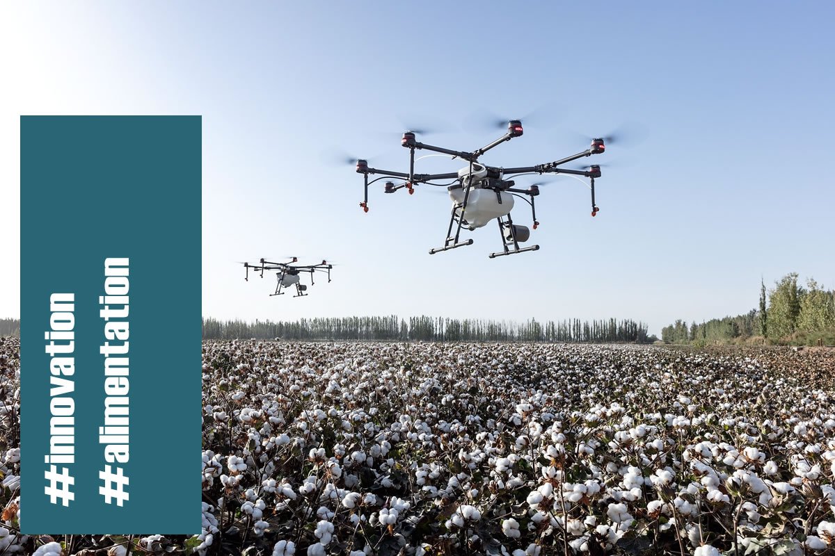 On doit faire plus avec moins de place au sol et cela le moins cher possible, et l’innovation est la solution.
L’aide de drones pour la plantation et le suivi des récoltes, les cultures verticales et les protéines végétales.

#Clusterfoodnutrition.ch sur : pme.ch/dossiers-et-ho…
