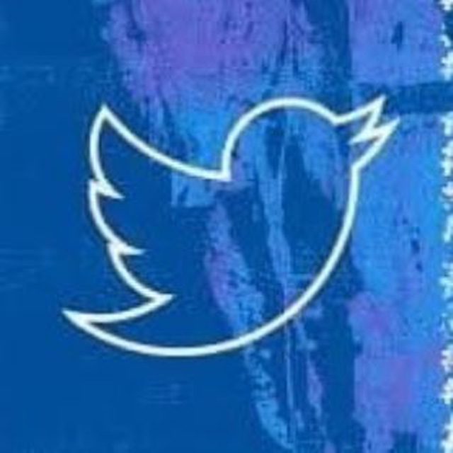 Peace Adam tweet media