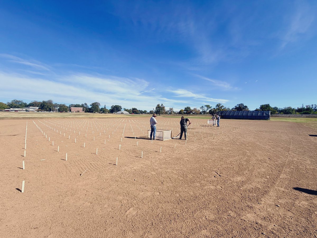 PhillipVines's tweet image. Amazing weather in GA for turf plot seedings. The team was able to seed tall fescue, perennial ryegrass, Kentucky bluegrass, and fine fescue trials today! #turfbreedingforthefuture