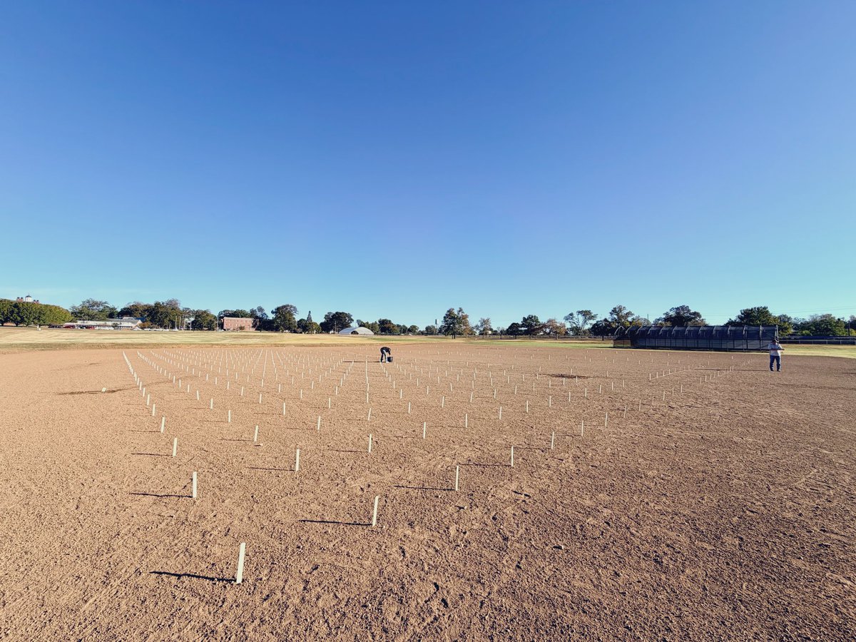 PhillipVines's tweet image. Amazing weather in GA for turf plot seedings. The team was able to seed tall fescue, perennial ryegrass, Kentucky bluegrass, and fine fescue trials today! #turfbreedingforthefuture