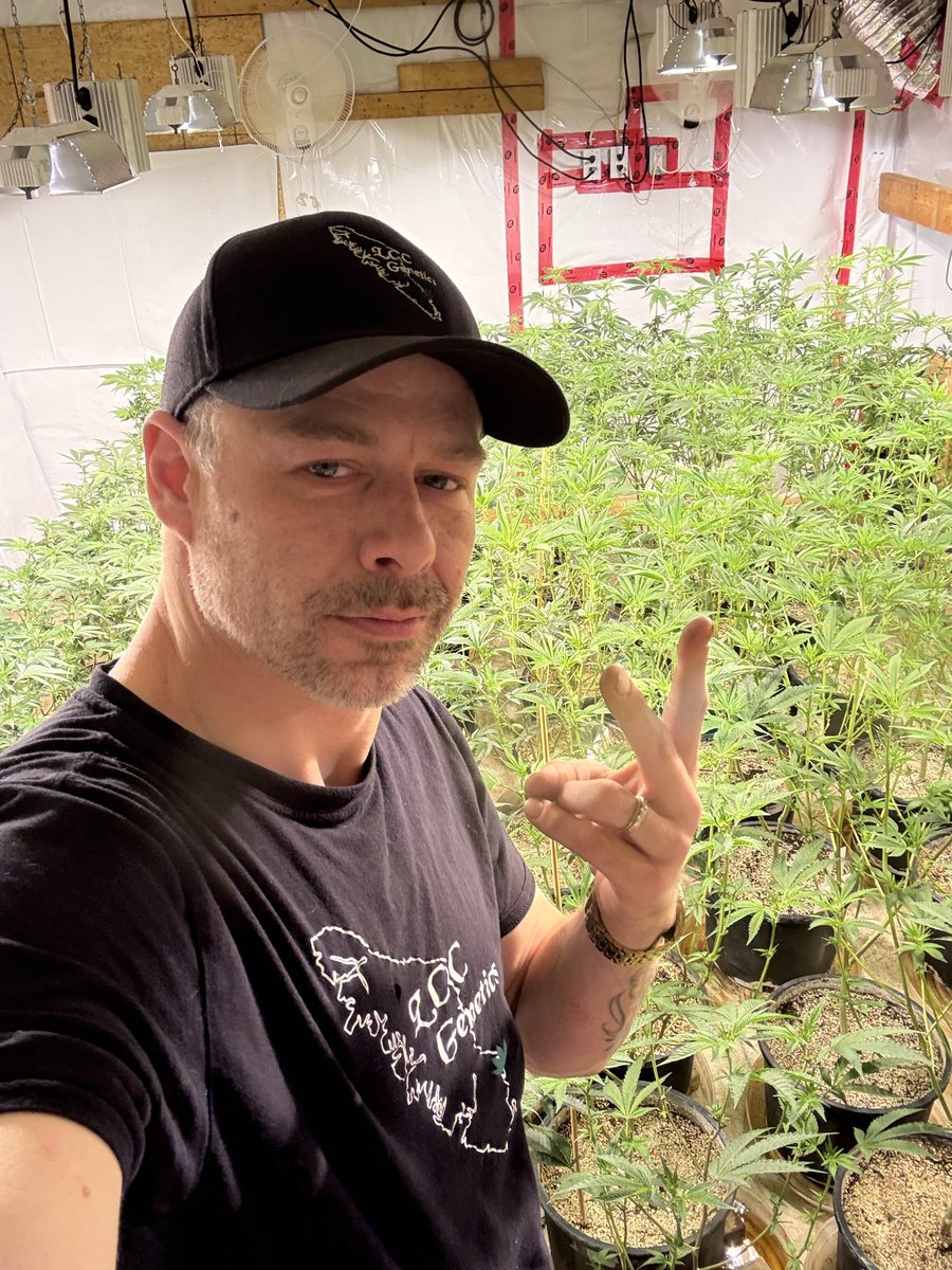 ✌️ What's up, fam? It's been a while; hope you're well. I'm testing new gear at the grow and will update you guys more often! Much love #CannabisCommunity #lccgenetics🇨🇦