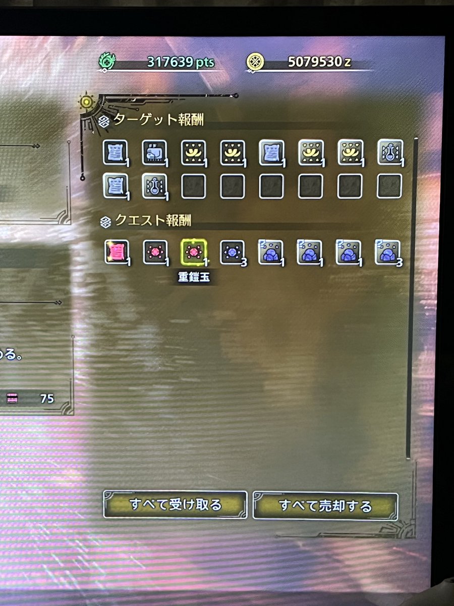 お守りは結構でる。チケットください😇
#モンハンワイルズ