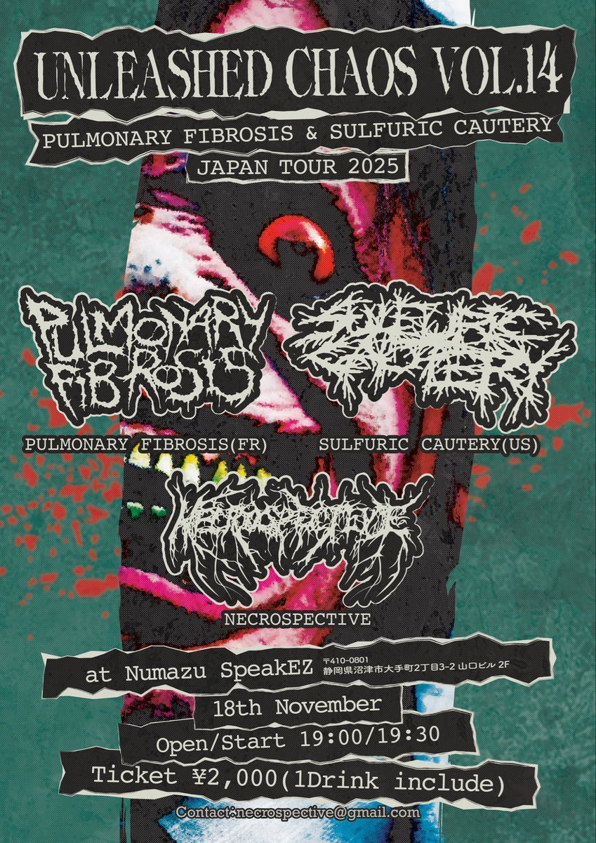 邦楽 Destructive Angel/Extreme Genocide Force 邦楽 Destructive Angel/Extreme Genocide Force 邦楽