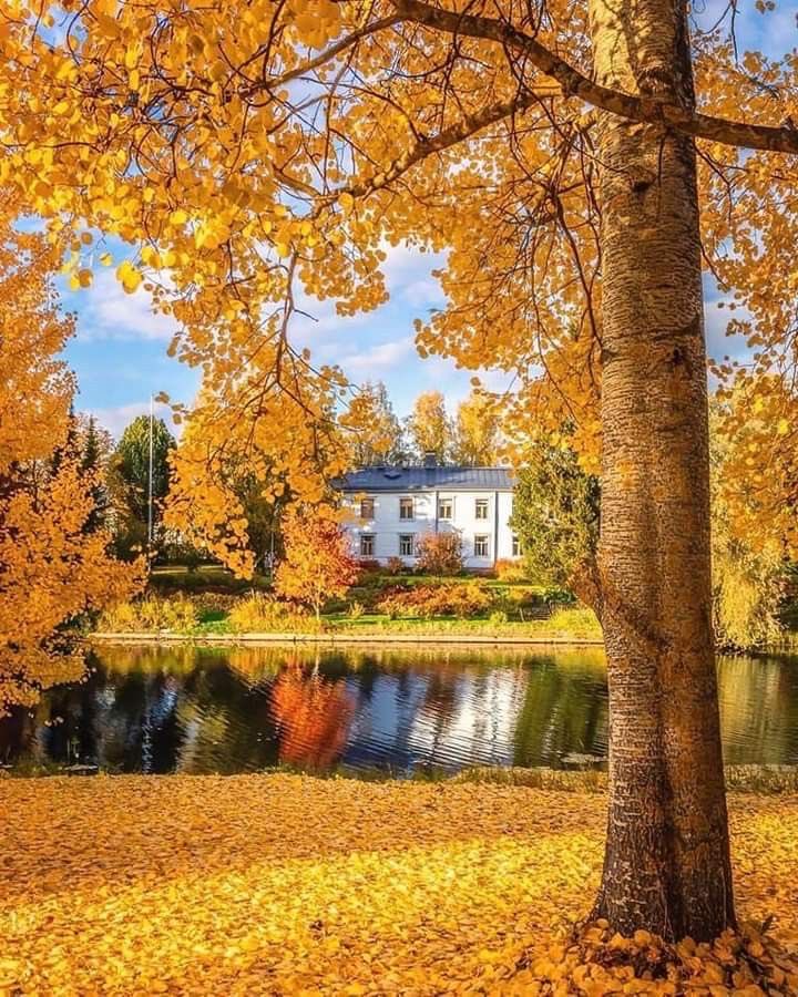 helena_mar19's tweet image. Good Morning 
Have a Beautiful Day

(Finland,📷 Pinterest )