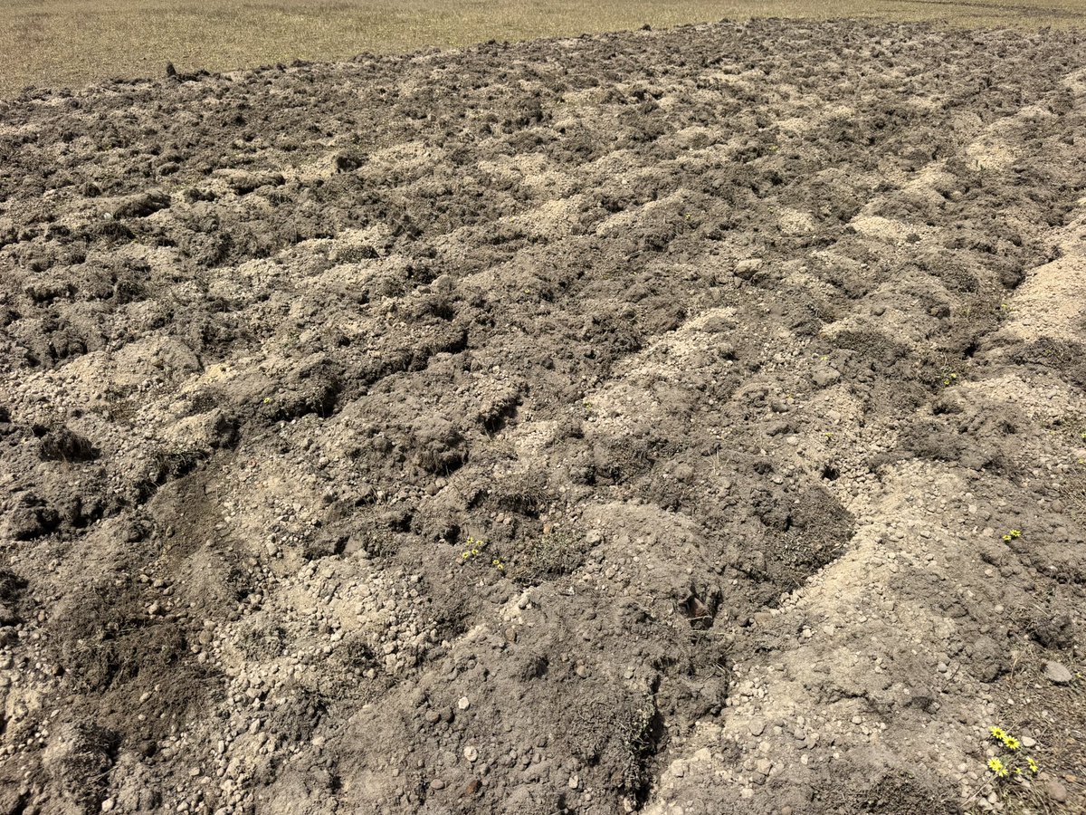 Paul O'Meehan tweet media