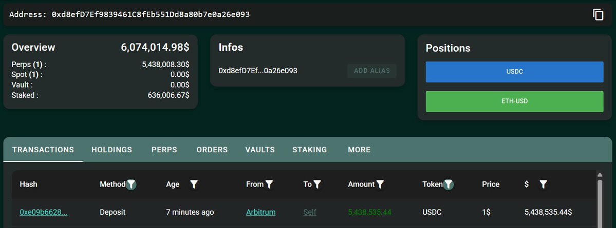 Hyperliquid에서 USDC 입금 및 포지션을 보여주는 고래 지갑 개요 스크린샷
